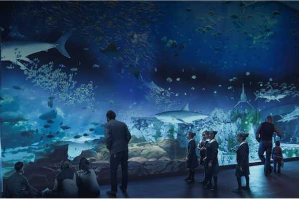 Acuario Mazatlán (4)