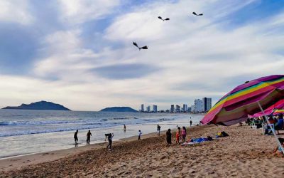 Playa Camarón Sábalo